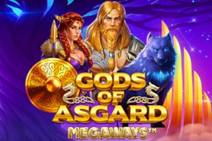 Gods Of Asgard Megaways slot by Iron Dog Studio - 95% RTP