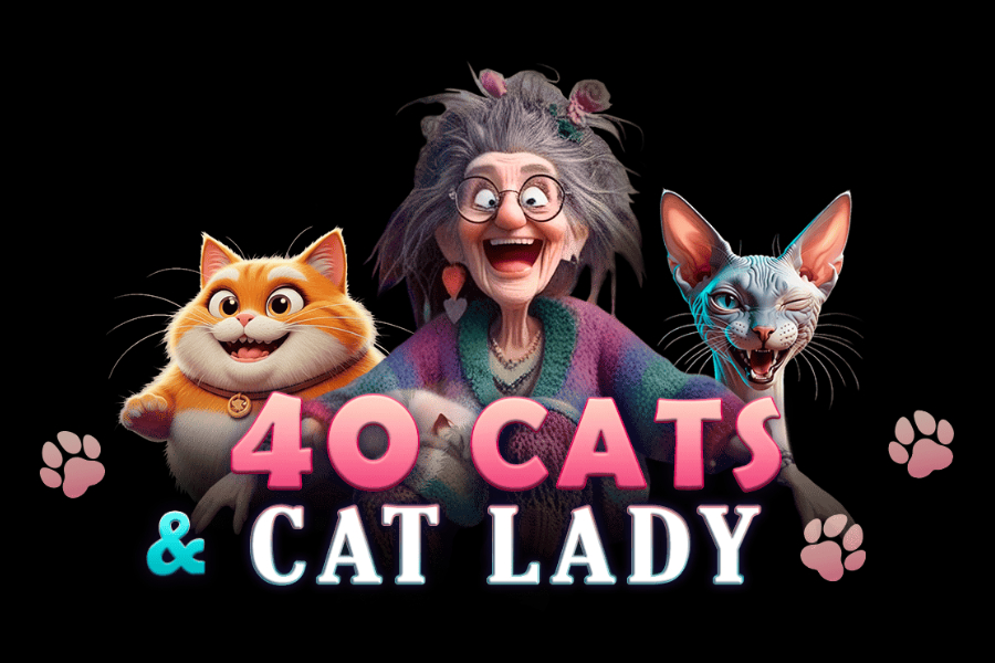 40 Cats & Lady slot by SlotoLand