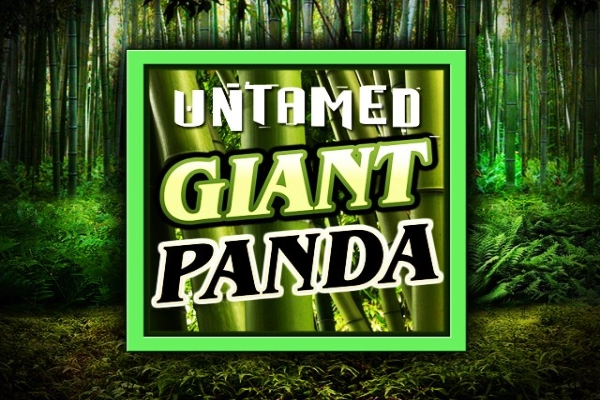 Untamed Giant Panda slot by Games Global