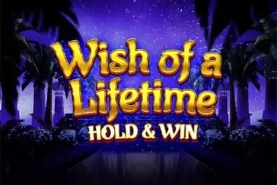 Wish of a Lifetime slot by OctoPlay