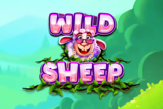 Wild Sheep slot by Elbet