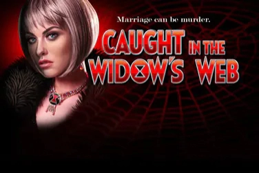 Caught In The Widow's Web slot by High 5 Games