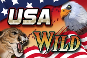 USA Wild slot by DigitalWin