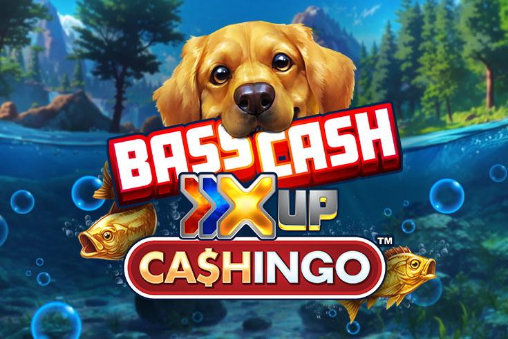 Bass Cash X Up Cashingo