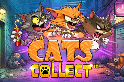 Cats Collect Demo Slot