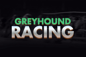 Greyhound Racing Demo Slot