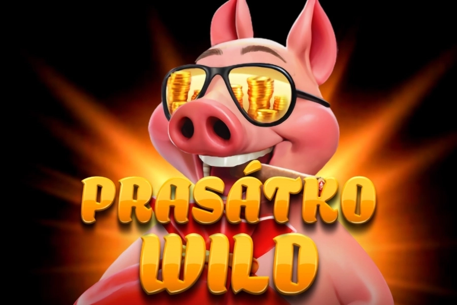 Prasatko Wild slot by Casimi Gaming