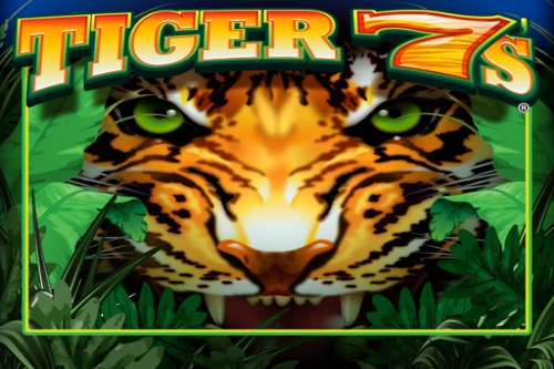 Tiger 7s slot by Everi