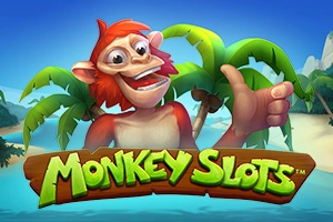 Monkey Slots slot by SYNOT Games