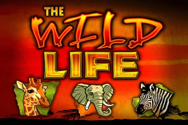 The Wild Life slot by IGT