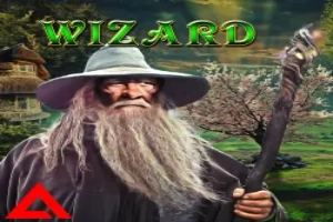 Wizard Demo Slot