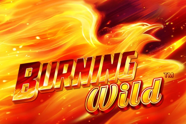 Burning Wild slot by Greentube - 95.17% RTP