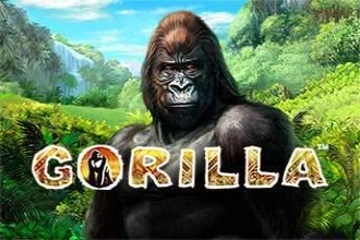 Gorilla slot by Greentube - 95.09% RTP