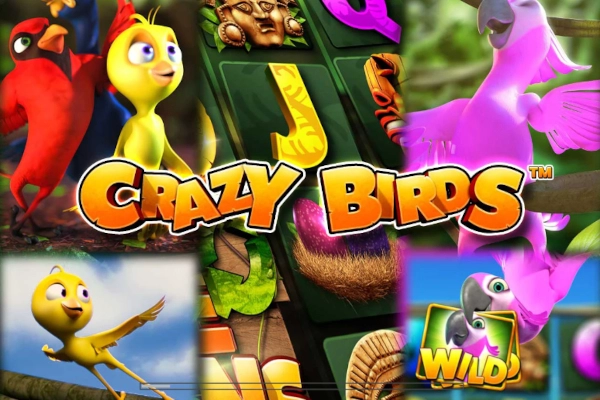 Crazy Birds slot by Greentube