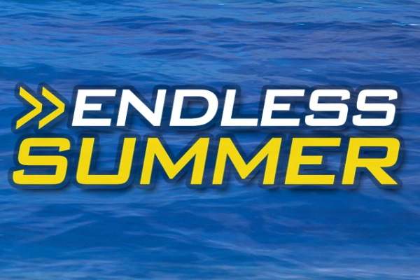 Endless Summer slot by Merkur