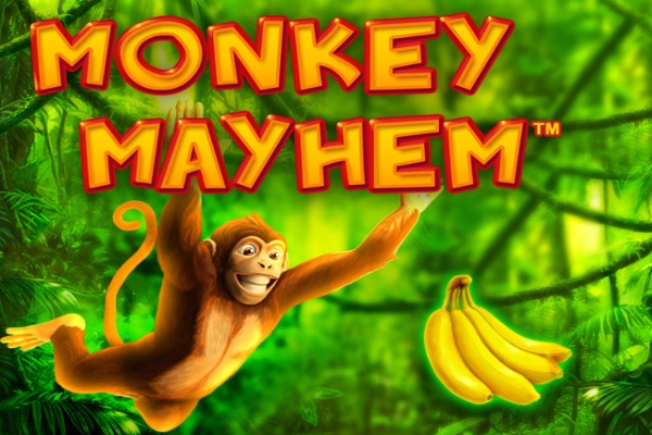 Monkey Mayhem slot by Merkur