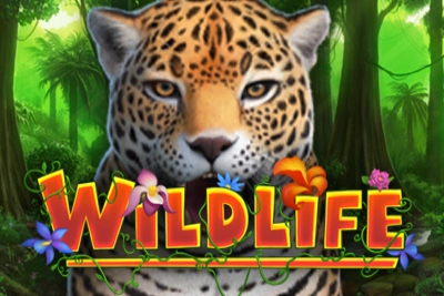 Wildlife slot by Capecod Gaming