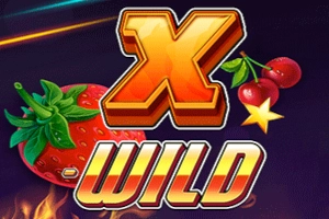 X-WILD slot by 1x2 Gaming - 95.19% RTP