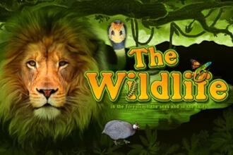 The Wildlife slot by Belatra