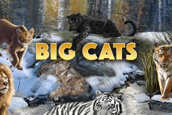 Big Cats slot by WGS