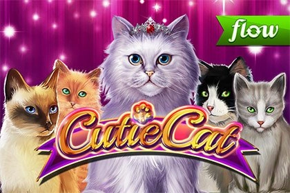 Cutie Cat slot by Gamomat