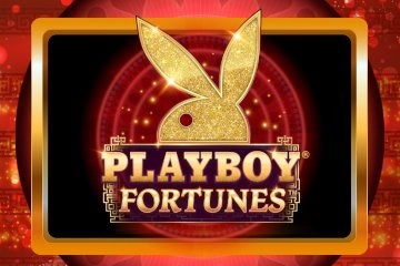 Playboy Fortunes slot by Gameburger Studios