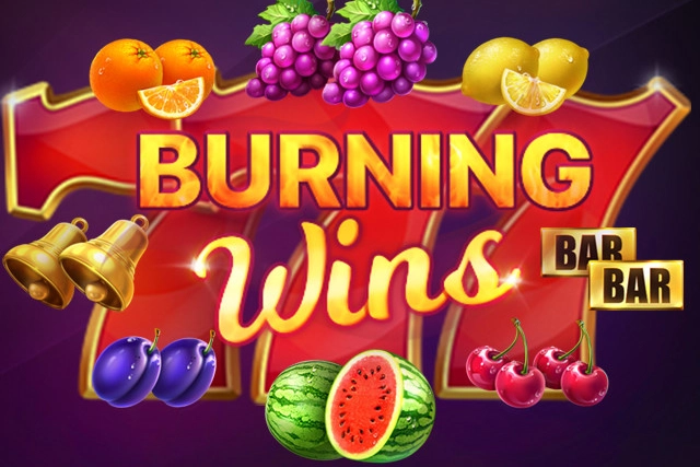 Burning Wins slot by Playson