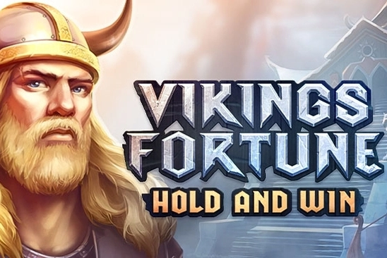 Vikings Fortune: Hold and Win slot by Playson