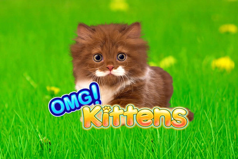 OMG Kittens slot by Light & Wonder