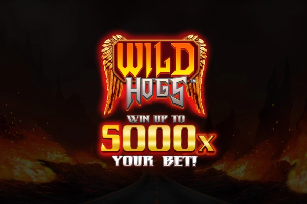 Wild Hogs slot by Stakelogic