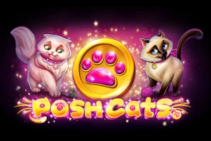 Posh Cats slot by Platipus
