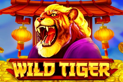 Wild Tiger slot by BGaming