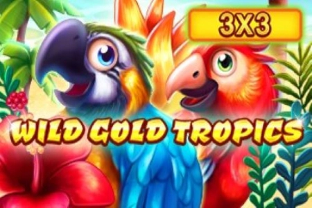 Wild Gold Tropics 3x3 slot by InBet Games