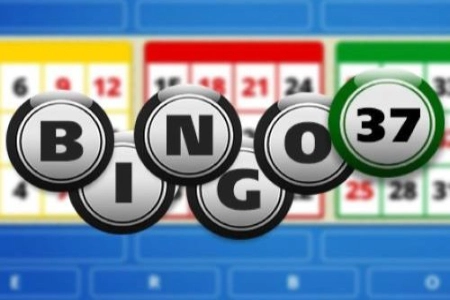 Bingo 37 demo