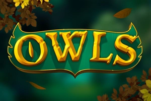 Owls slot by Nolimit City