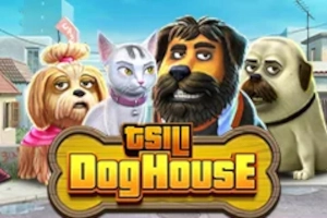 TSILI Dog House slot by Pragmatic Play