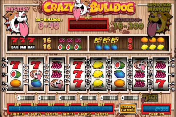 Crazy Bulldog slot by Stakelogic