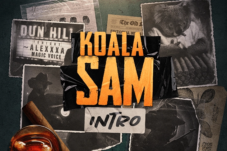 Koala Sam Intro slot by Chilli Games