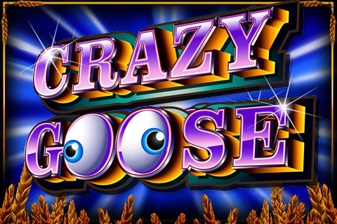 Crazy Goose slot by Ainsworth - 94.11% RTP