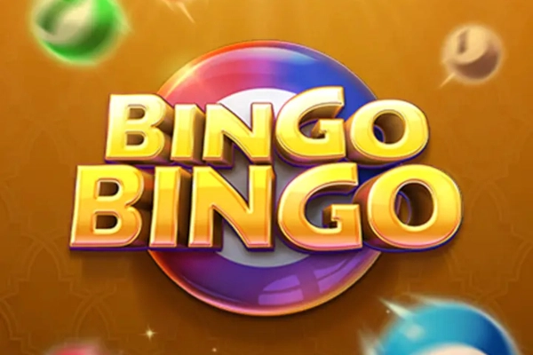 Bingo Bingo demo