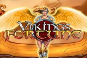 Vikings Fortune slot by WMG