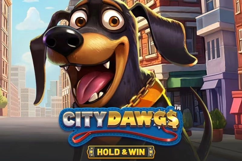 City Dawgs - Hold & Win slot by Betsoft