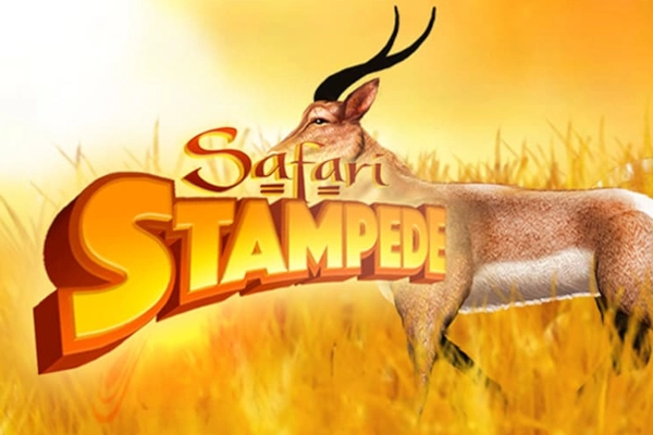 Safari Stampede slot by Dragon Gaming