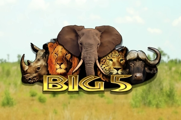Big 5 slot by Tech4Bet
