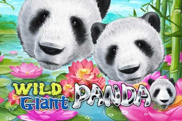 Wild Giant Panda slot by Eurasian Gaming