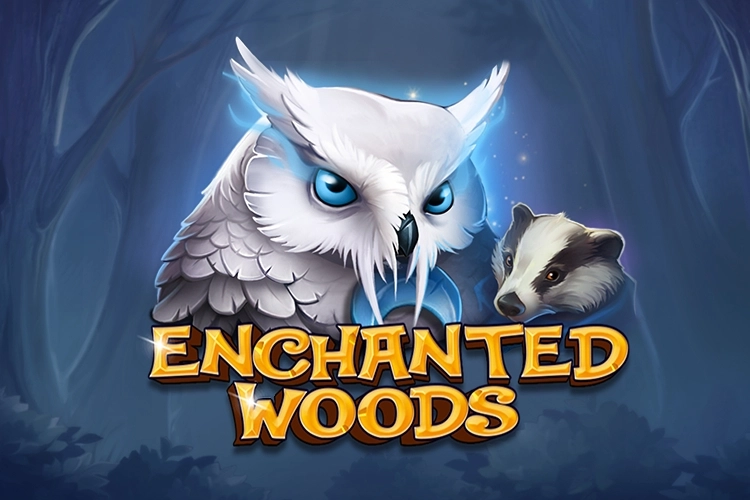 Enchanted Woods slot by CT Interactive