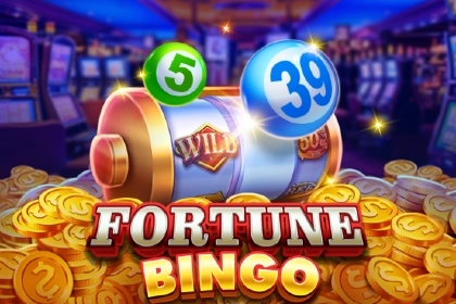 Fortune Bingo demo