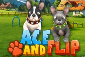 Ace and Flip slot by WGS