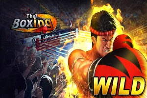 Thai Boxing demo