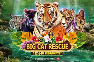 Big Cat Rescue Megaways slot by Red Tiger Gaming